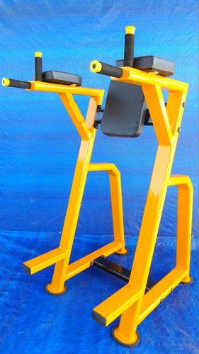 Dipping/Parallel Bar