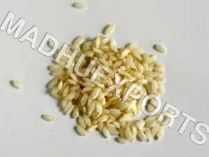 Carnaroli rice