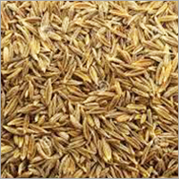 Cumin Aldehyde