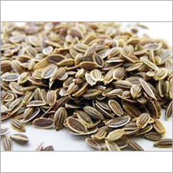 Dil Seed Oil