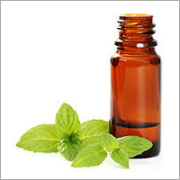 Ocimum Oil