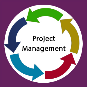 Project Management Services