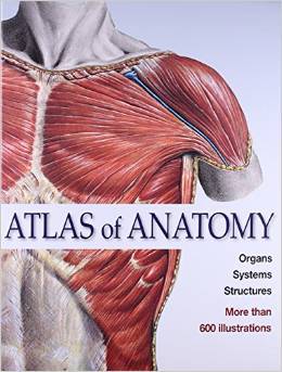 Atlas of Anatomy - Hardback 25x20 cm Red, 800+ Illustrations, Human Organ Systems Reference Book