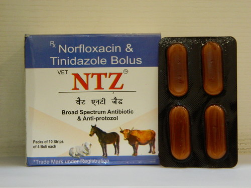 Norfloxacin Tinidazole Bolus
