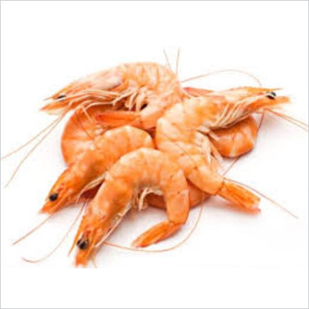 Fresh Sea Prawns
