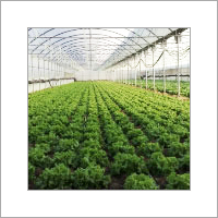 Greenhouse Polycarbonate Sheet