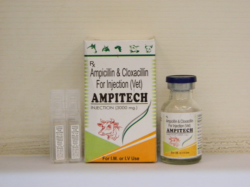 Ampitech Veterinary Injection