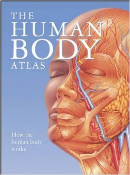 The Human Body Atlas