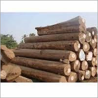 Timber Wood