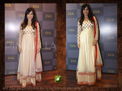 Bollywood Salwar Suit