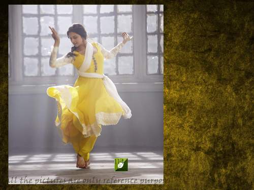 Bollywood Salwar Suit