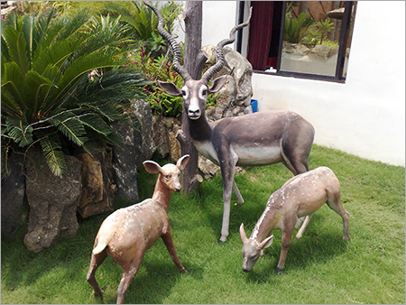 Landscape Designing Services