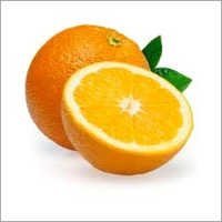 Orange Soft Drink Concentrate