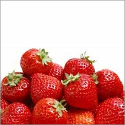 Strawberry Soft Drink Concentrate By SUGAM PRODUCTS