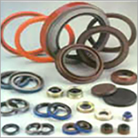 Oil Seal