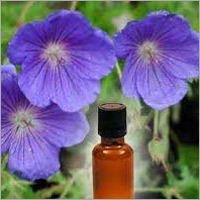 Geranium Oil