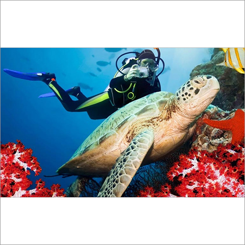 Skuba Diving Services