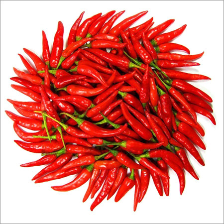 Red Chilli
