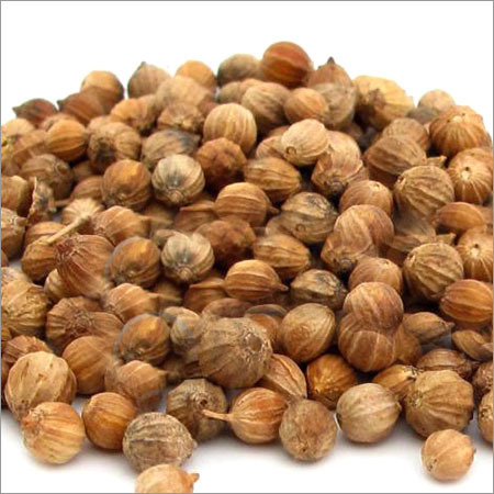 Dried Coriander Seeds