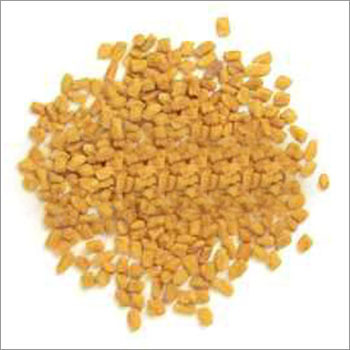 Fenugreek 1