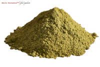 Coriander Leaf Powder