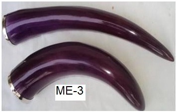 Long Shape Bottle Purple Horn With Mouth Rim