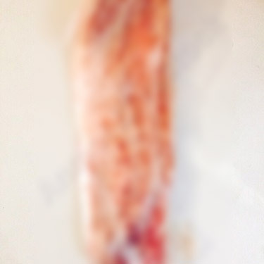 Pork Belly