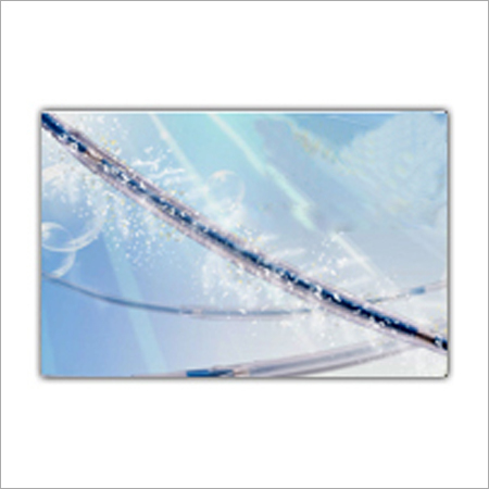 Paclitaxel Dilatation Balloon Catheter