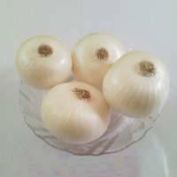 White Onion