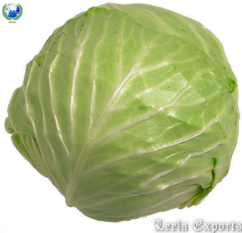 dehydrated cabbage