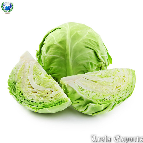 fresh green cabbage