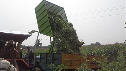 MULTI CROP CHOPPER