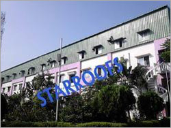 Factory Terrace Shed Services