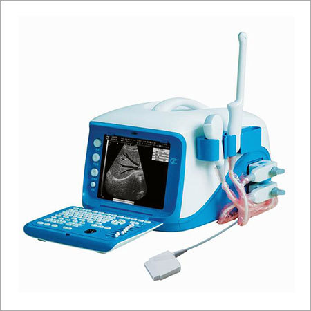Pet B Ultrasound System