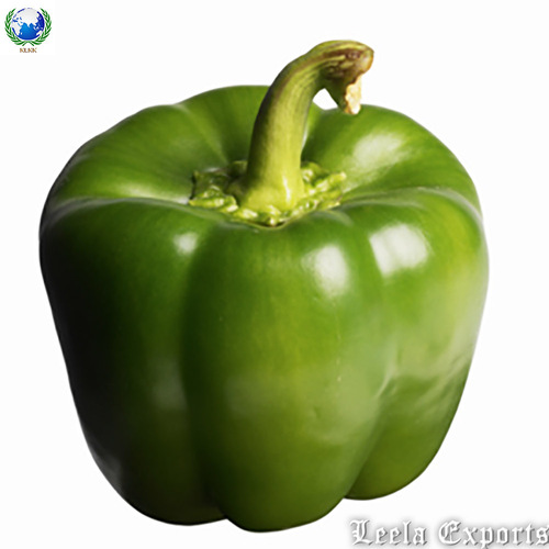 capsicum oleoresin