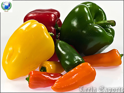 capsicum extract