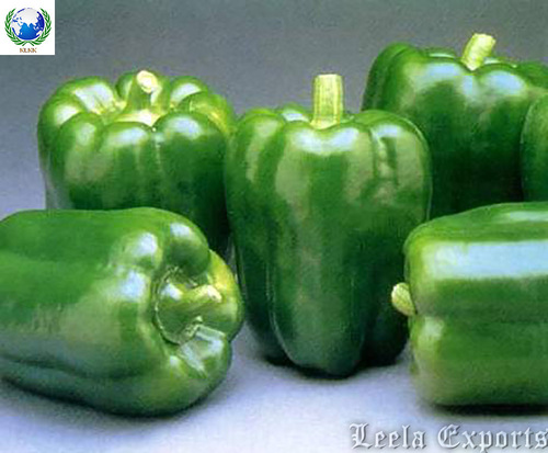 buyer of green capsicum