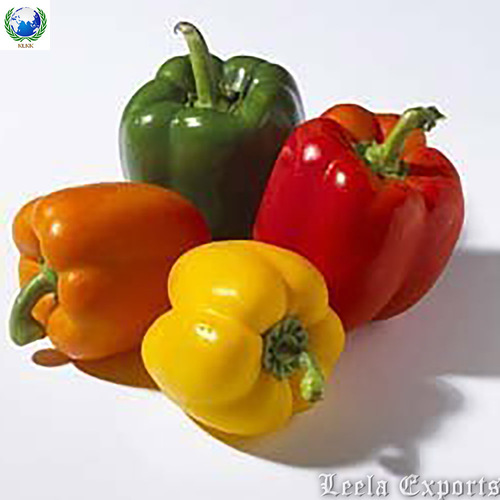 green capsicum