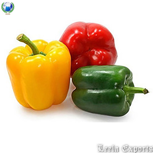 fresh capsicum