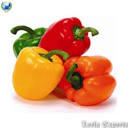 capsicum chili