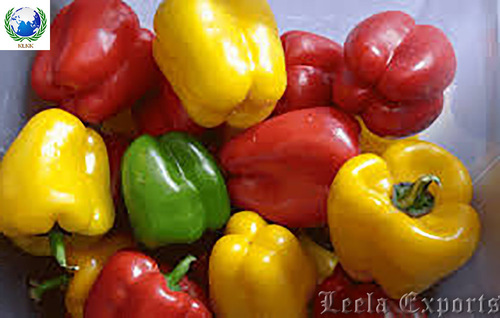 capsicums