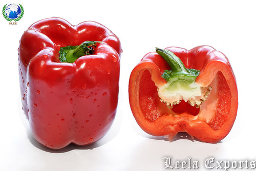 color capsicum