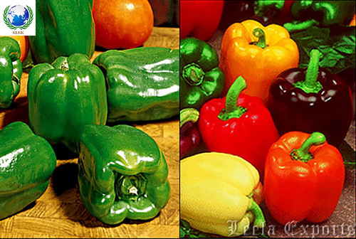 red yellow capsicum