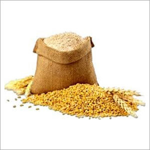 Indian Wheat