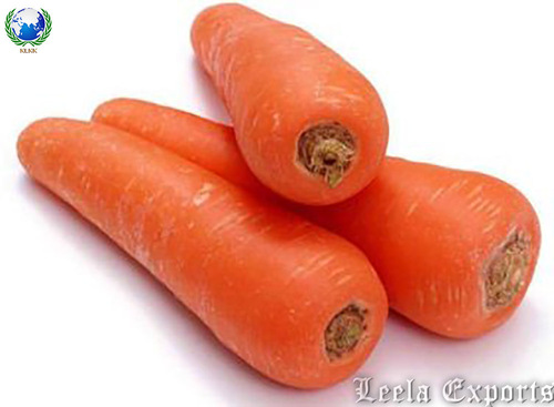 carrot juice machine