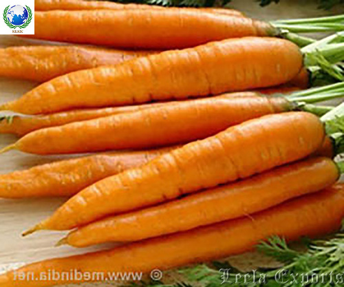 fresh carrots