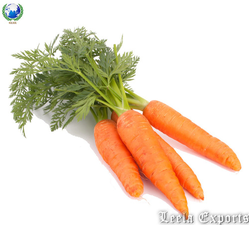 organic carrot