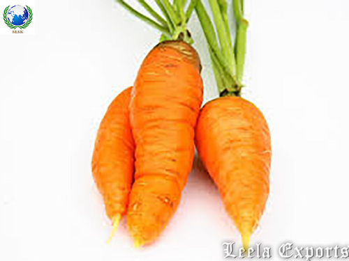 carrot juicer in tamil nadu