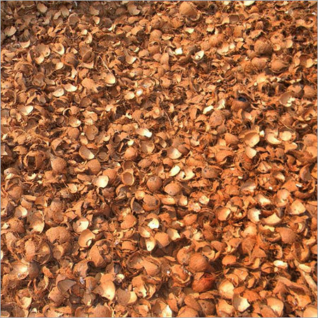 Coconut Shells