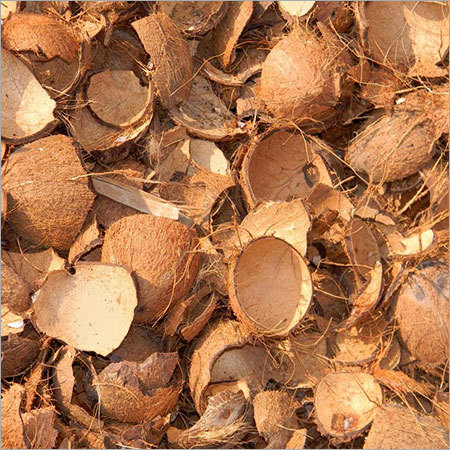 Fresh Cracked Coconut Shell